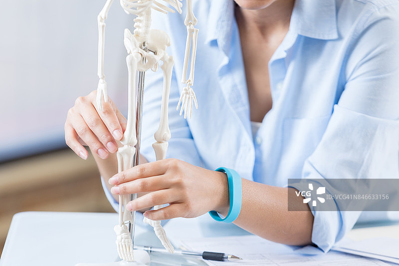 医疗专业人员检查骨骼系统模型图片素材