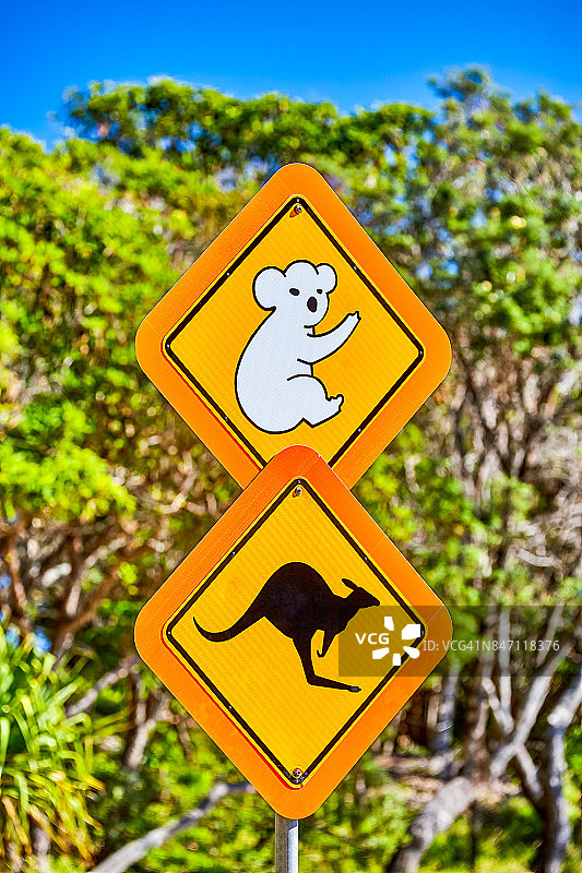 澳大利亚昆士兰州北斯特拉布罗克岛上的野生动物安全标志图片素材