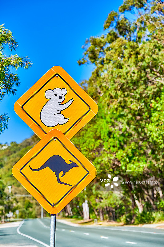 澳大利亚昆士兰州北斯特拉布罗克岛上的野生动物安全标志图片素材