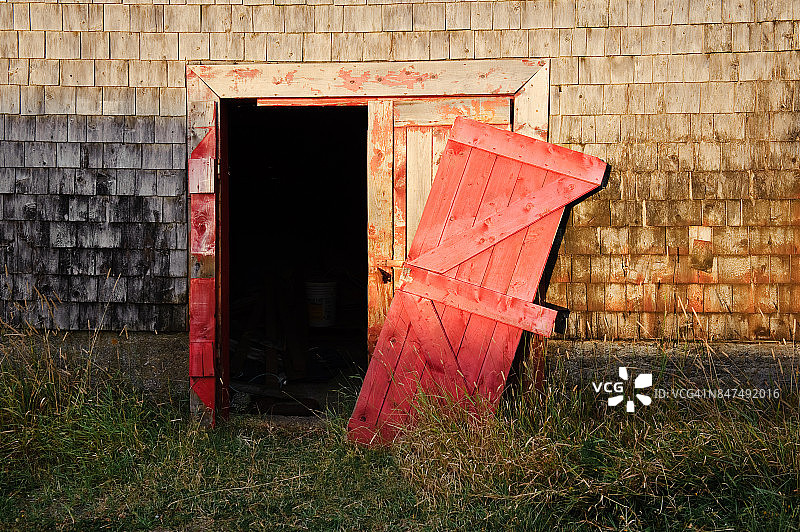 加拿大新不伦瑞克省大马南岛海豹湾图片素材