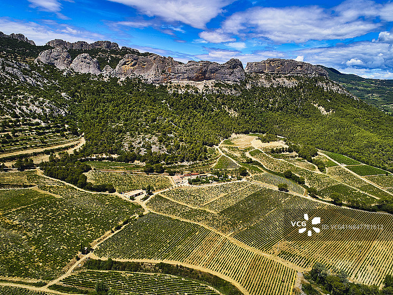 旺图山蕾丝葡萄酒产区，法国普罗旺斯图片素材