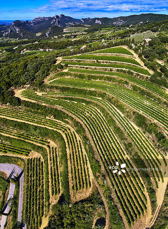 旺图山蕾丝葡萄酒产区，法国普罗旺斯图片素材