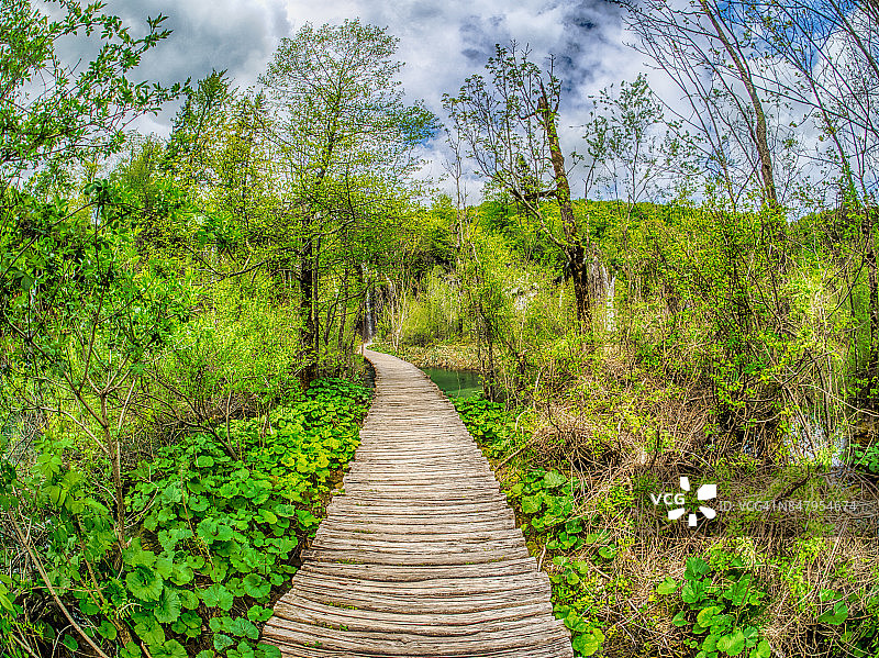 普利特维采湖群国家公园的木板路和瀑布图片素材