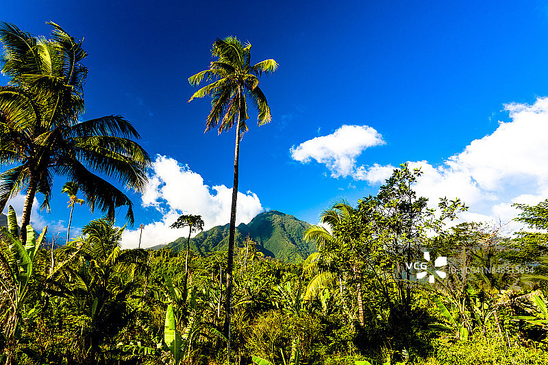 昂儒昂岛郁郁葱葱的乡村风光图片素材