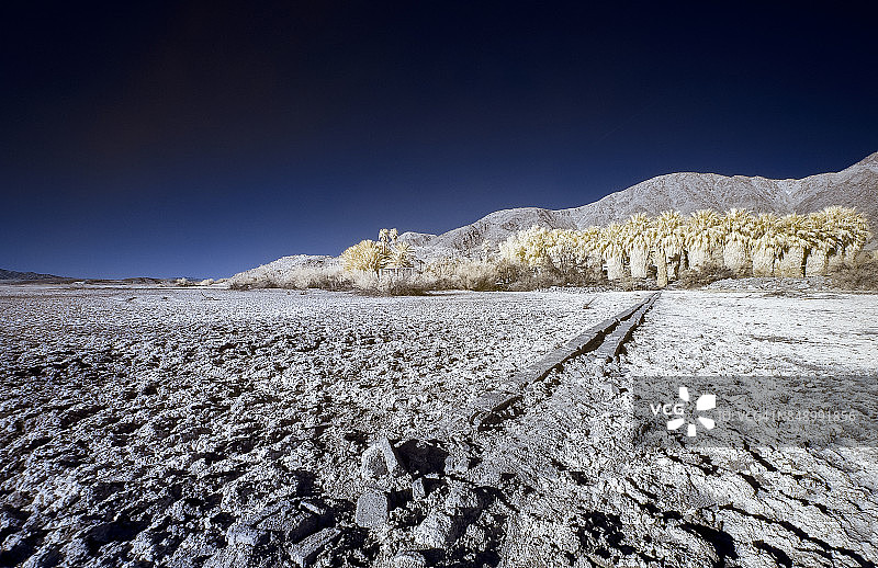 超现实的绿洲图片素材