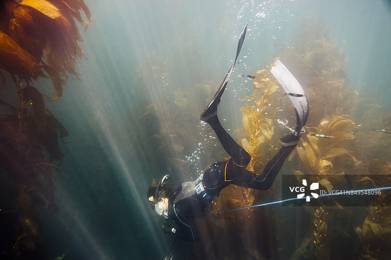 在加利福尼亚州海峡群岛国家公园圣克鲁斯岛拍摄的男子水下叉鱼照片图片素材