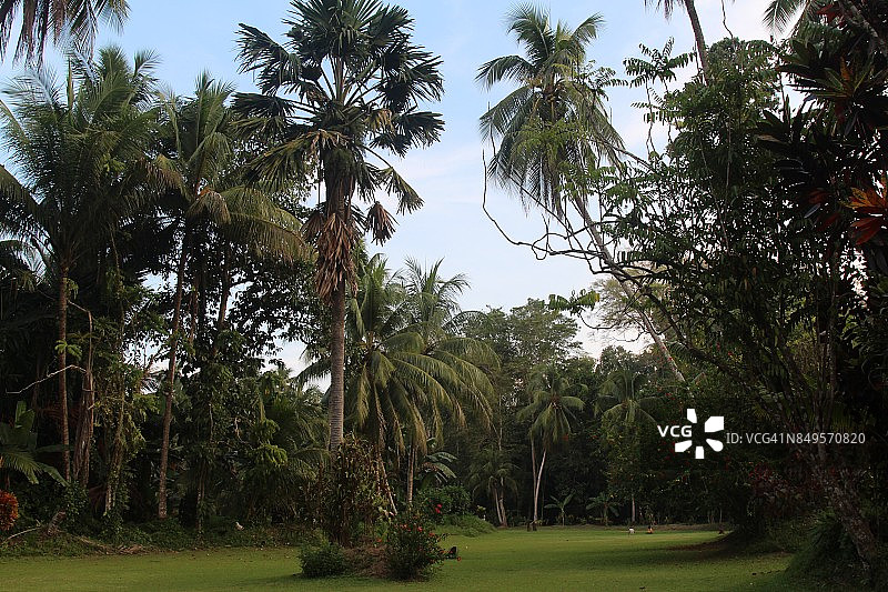巴布亚新几内亚东塞皮克河的乡村生活图片素材