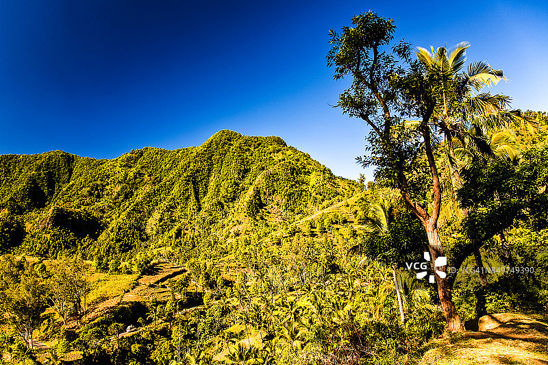 昂儒昂岛郁郁葱葱的乡村风光图片素材