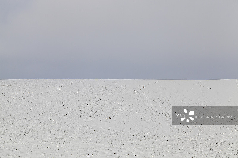 冬季田野图片素材