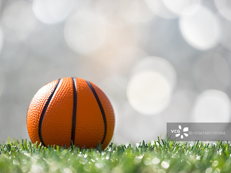 阳光下足球场草坪上的篮球图片素材