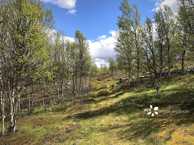 罗罗斯郊外的高原图片素材