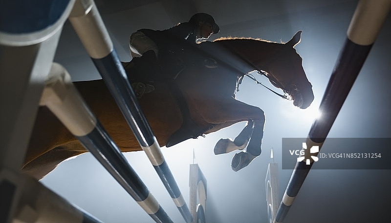 栗色马和骑手跃过栏杆图片素材