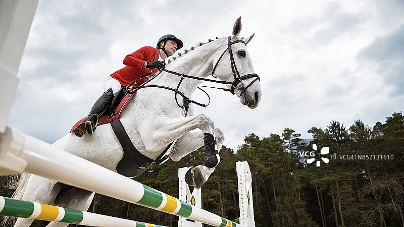 骑师骑着白色马跳跃障碍物图片素材