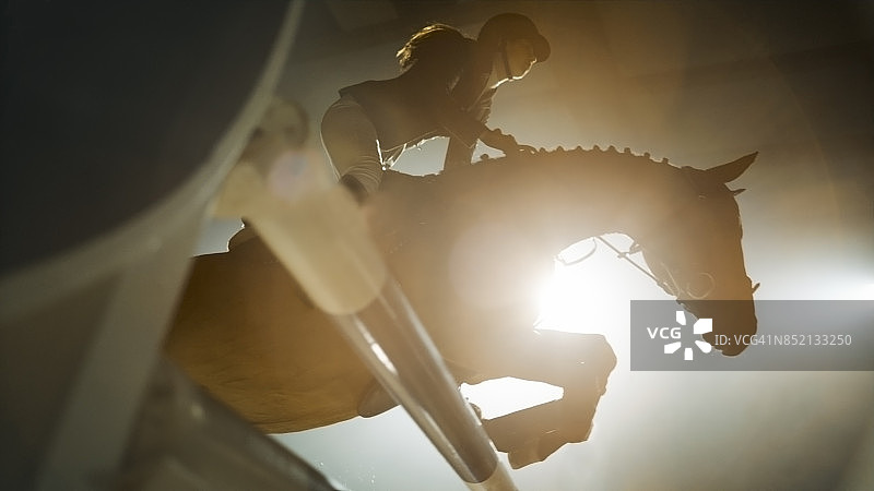 栗色马和骑手跃过栏杆图片素材