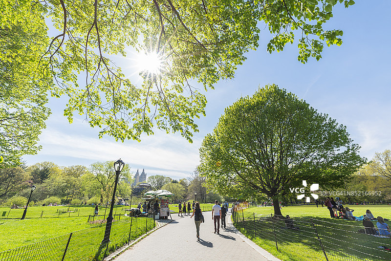 纽约中央公园的春日阳光图片素材