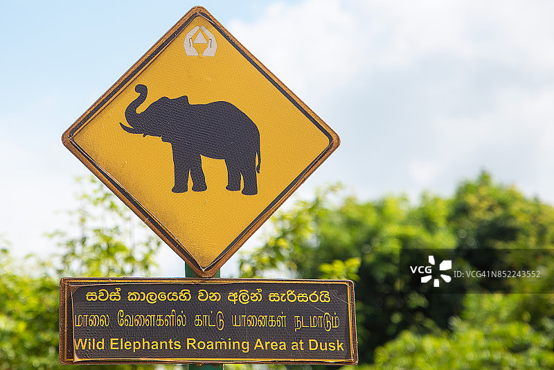 黄色路标上的大象剪影图片素材