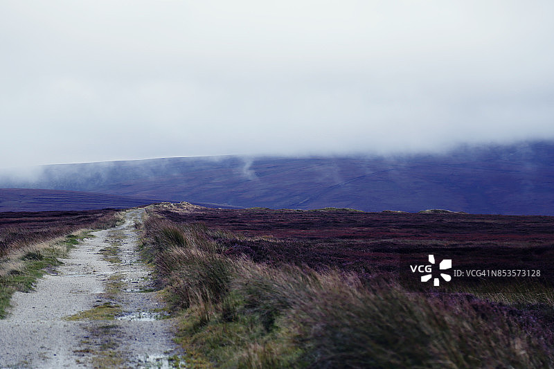 多雾的早晨图片素材