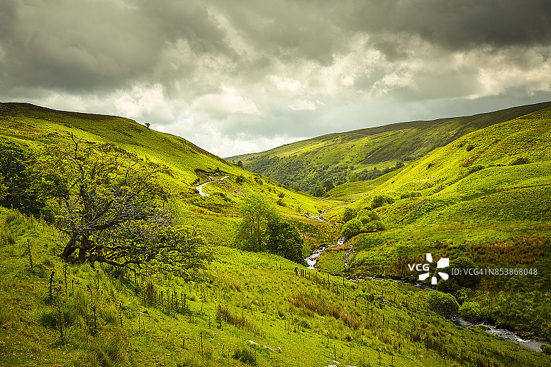 壮丽的绿色丘陵景观图片素材