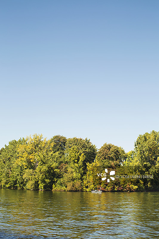 水边的树林图片素材