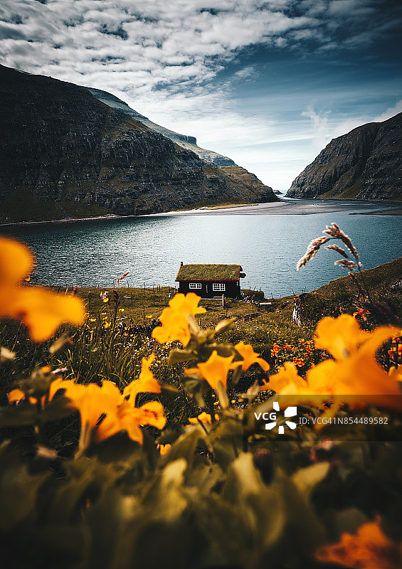 萨克森村庄的屋顶草地图片素材