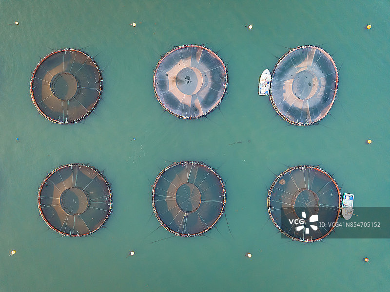 加拿大新不伦瑞克省大马南岛海豹湾的鲑鱼养殖场图片素材