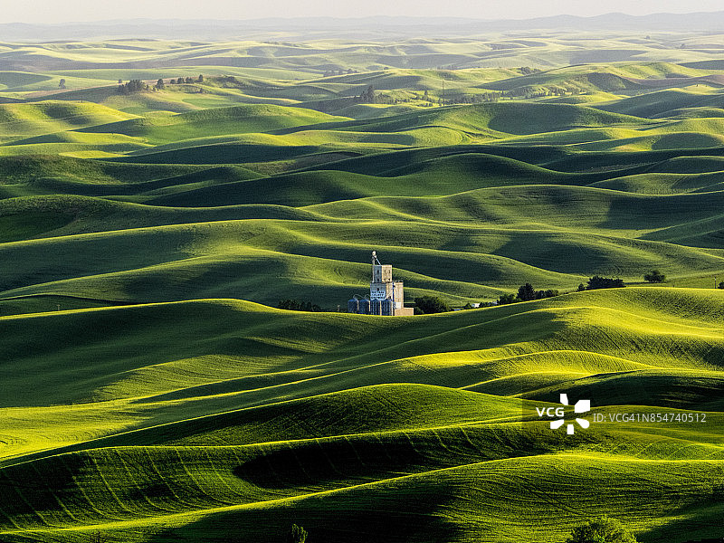 小麦、豌豆和大麦春田里的筒仓图片素材