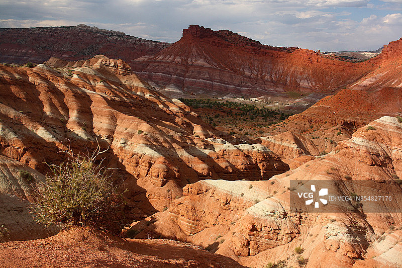 老帕里亚鬼镇和西部电影拍摄地的条纹荒地图片素材