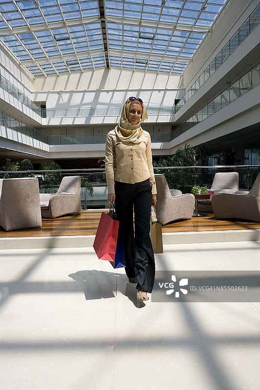 一位女士提着购物袋图片素材