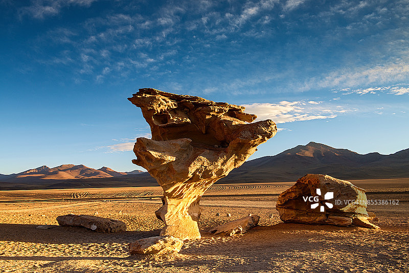 玻利维亚高原的石树图片素材