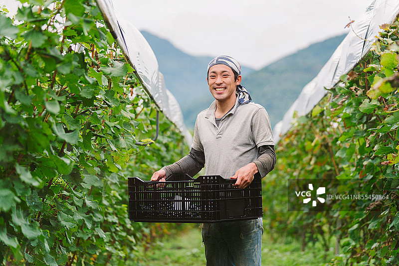 葡萄园里年轻的日本葡萄种植户肖像图片素材