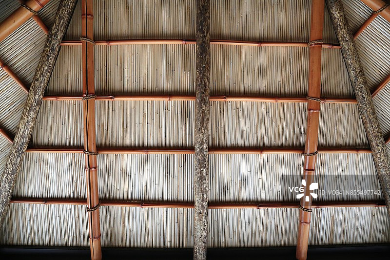 特写：茅草屋上的棕榈树图片素材