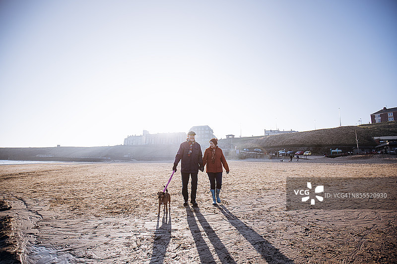 在海滩上遛狗的年长夫妇图片素材