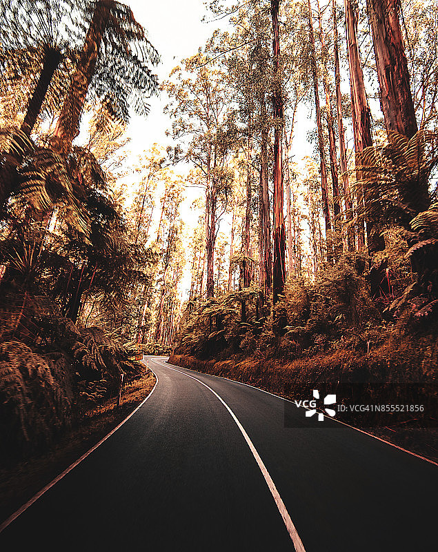 亚拉山脉国家公园图片素材