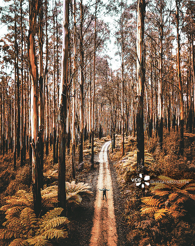 亚拉山脉森林中的男人图片素材