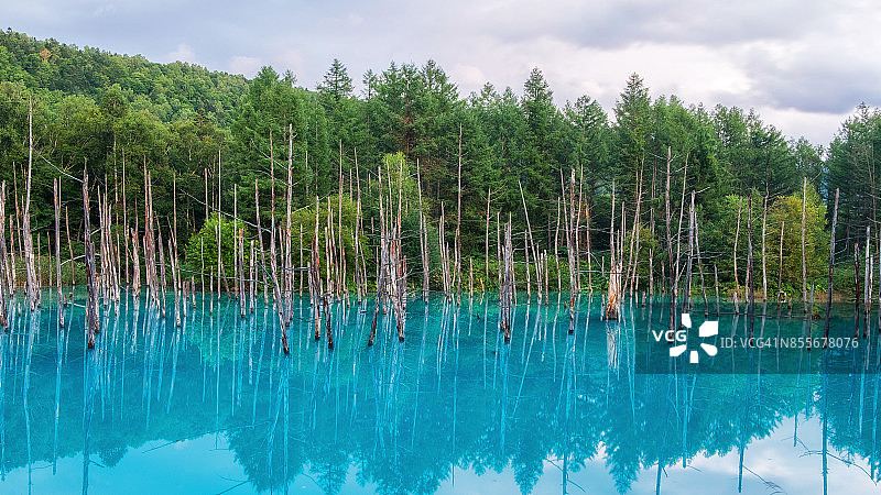 日本北海道美瑛町的蓝塘图片素材