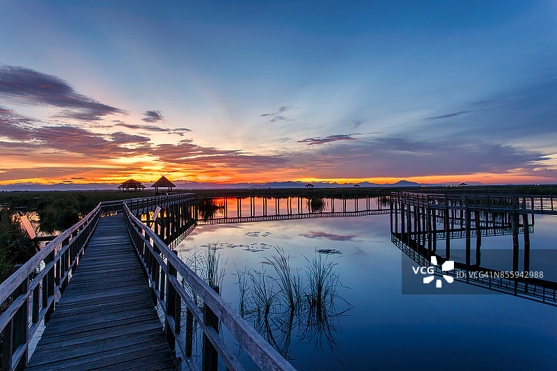 泰国考森罗伊国家公园日落时分的荷花湖上木桥图片素材