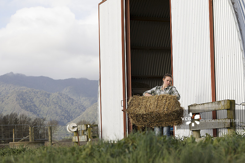 carrying a bale of hay.的农场女孩图片素材
