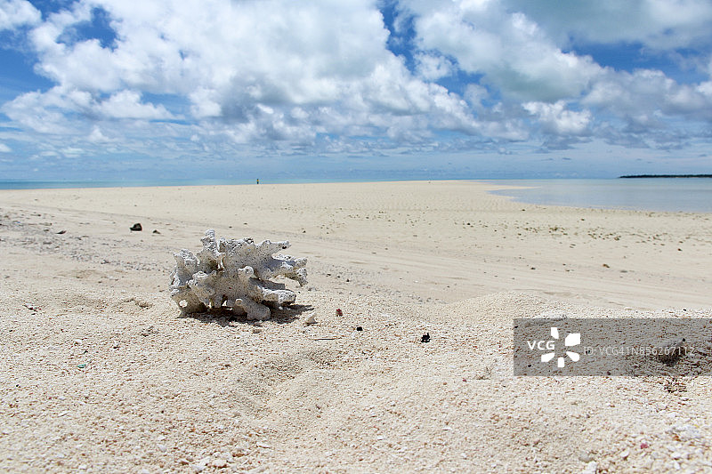 帕劳卡扬格尔环礁白色沙滩上的珊瑚图片素材