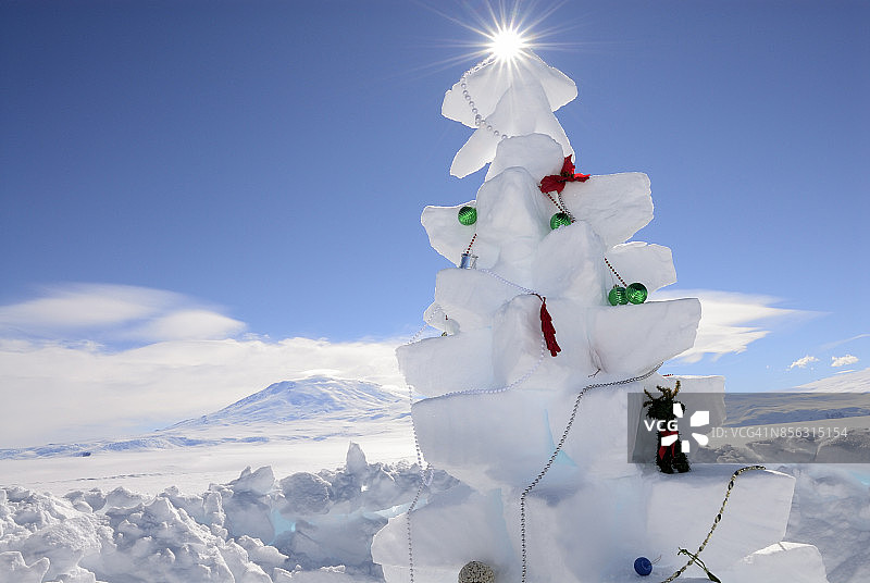 雪中圣诞树图片素材