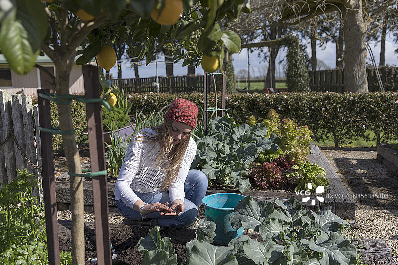 少女在园艺图片素材