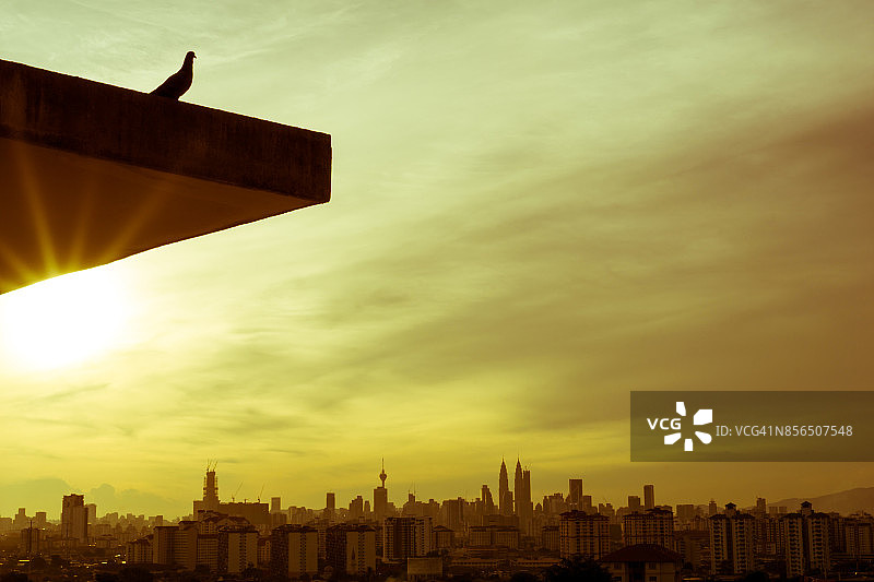 马来西亚吉隆坡市中心上空的鸟剪影图片素材