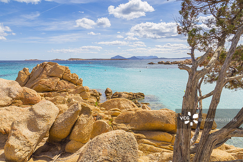意大利撒丁岛卡普里乔利海滩的岩石、树木和碧绿海水图片素材