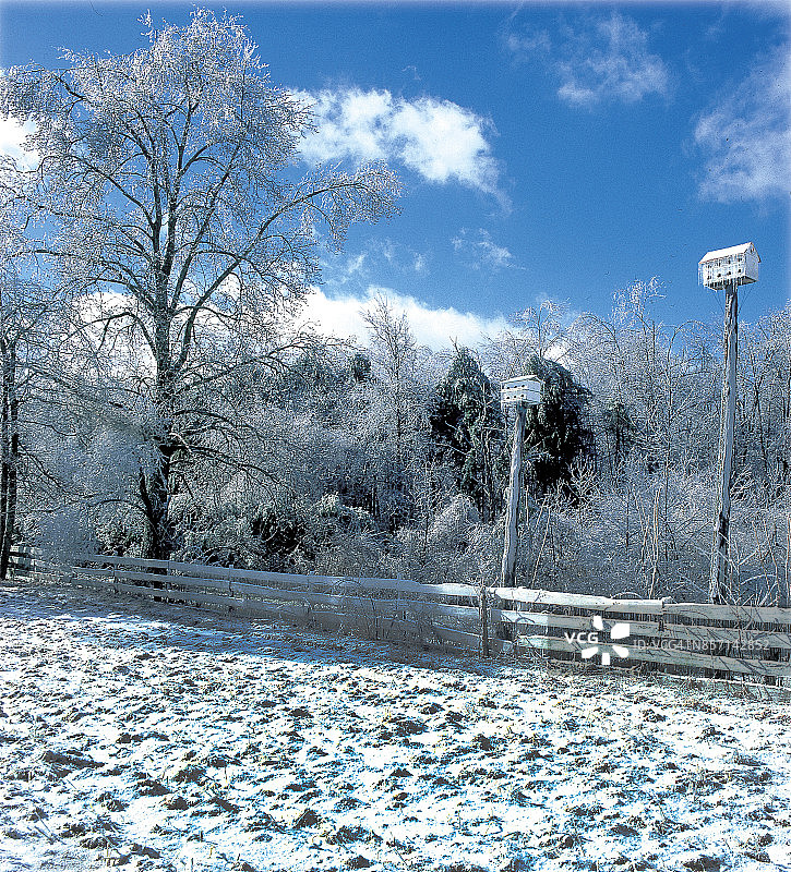 乡村雪景图片素材