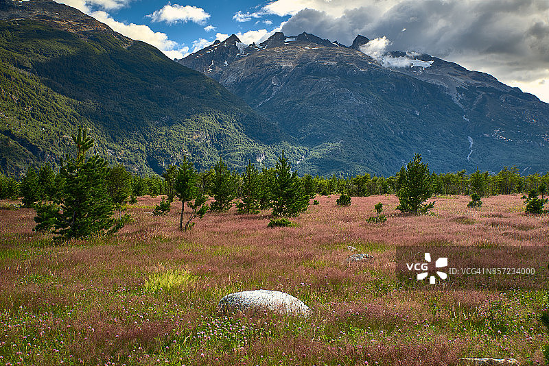 洛斯莱昂斯山谷的野花田和巴塔哥尼亚安第斯山脉图片素材
