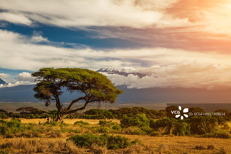 肯尼亚安博塞利乞力马扎罗山图片素材