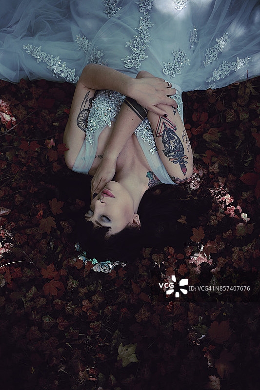 白日梦II图片素材