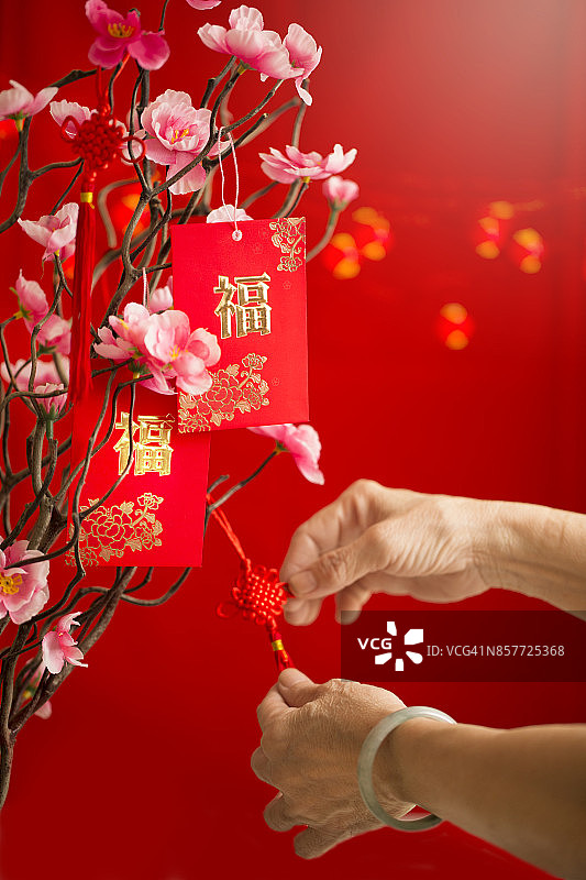 中国新年：老人手持红包装饰梅花图片素材