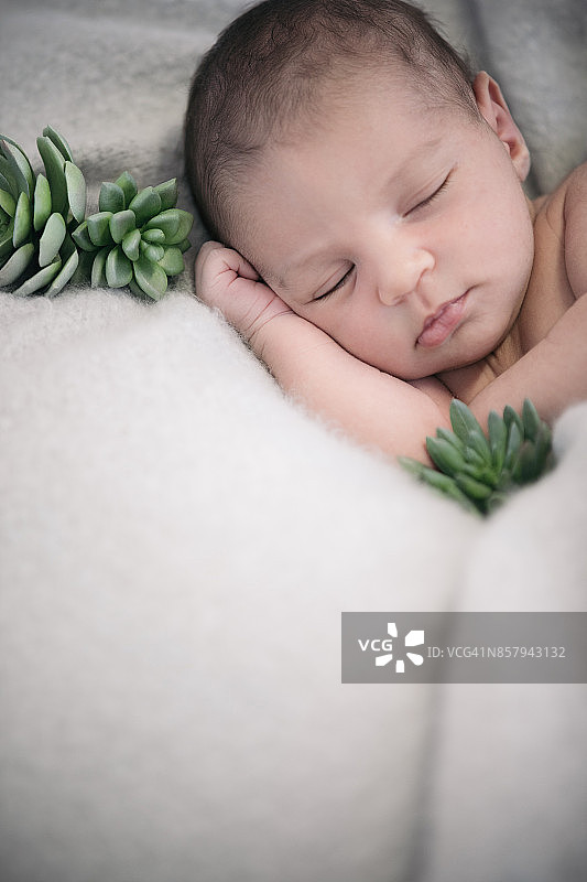 新生儿图片素材