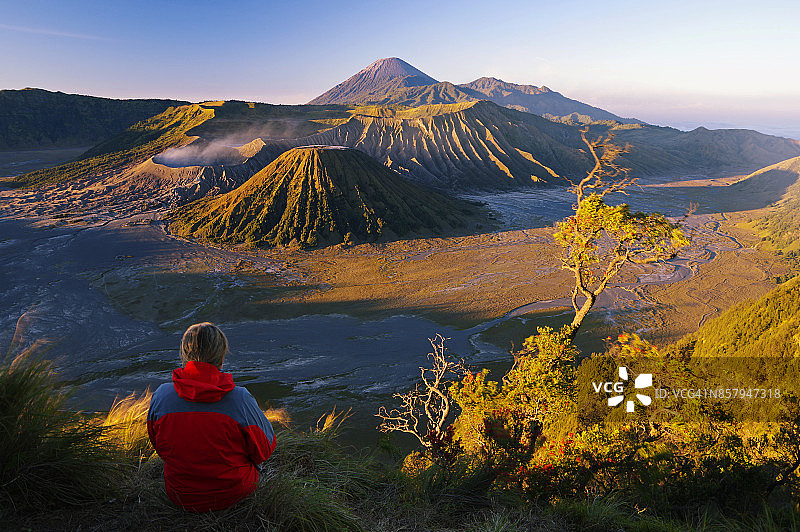 布罗莫火山：布罗莫腾格尔塞梅鲁国家公园，印度尼西亚图片素材