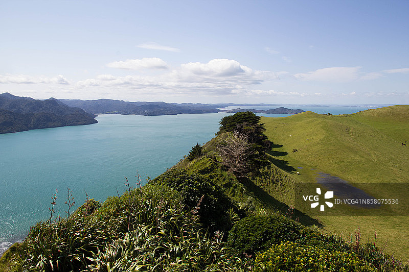 从马努考角灯塔看怀亚（怀塔克雷山脉区域公园）的景色图片素材